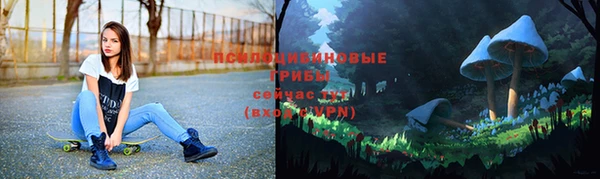 каннабис Михайловка